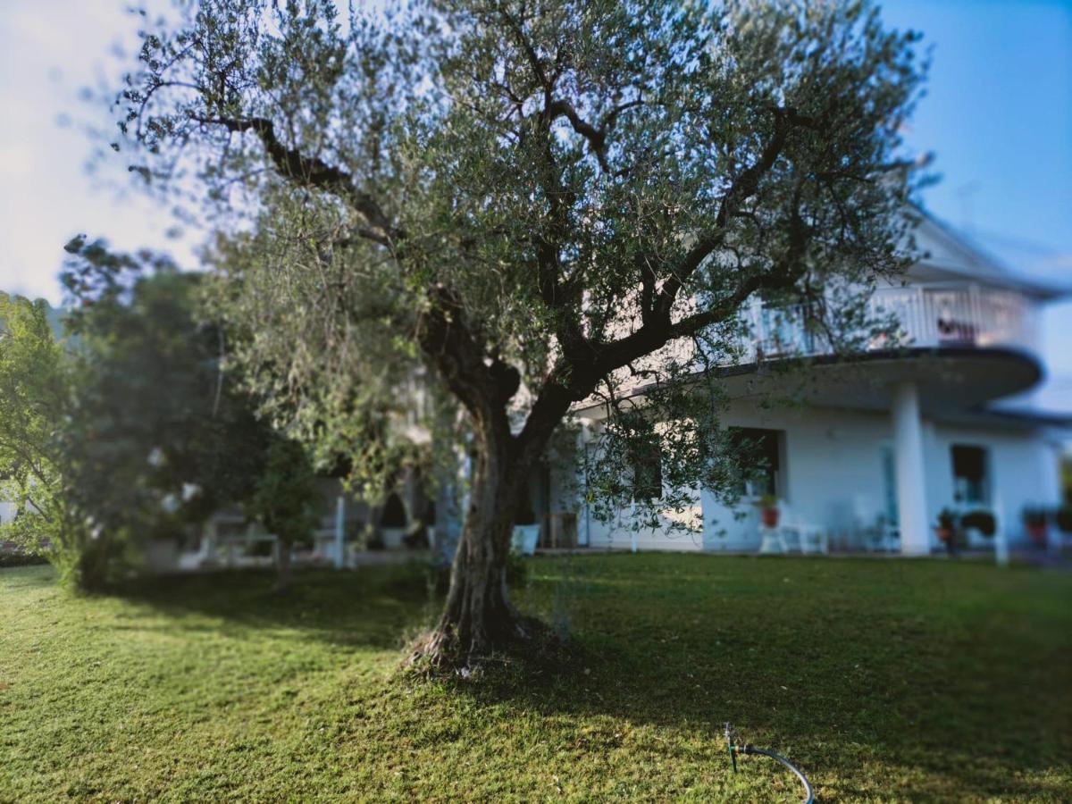 Villa Margherita San Giovanni Teatino Exterior foto